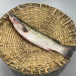 ভাঙাল মাছ - 1