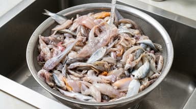 নদীর পাঁচ মিশালী মাছ